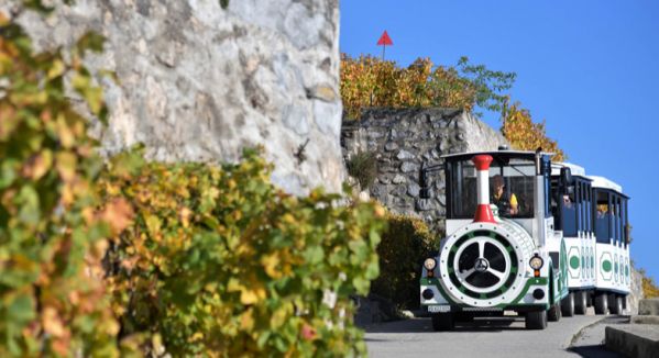 Lavaux_Panoramic.jpg